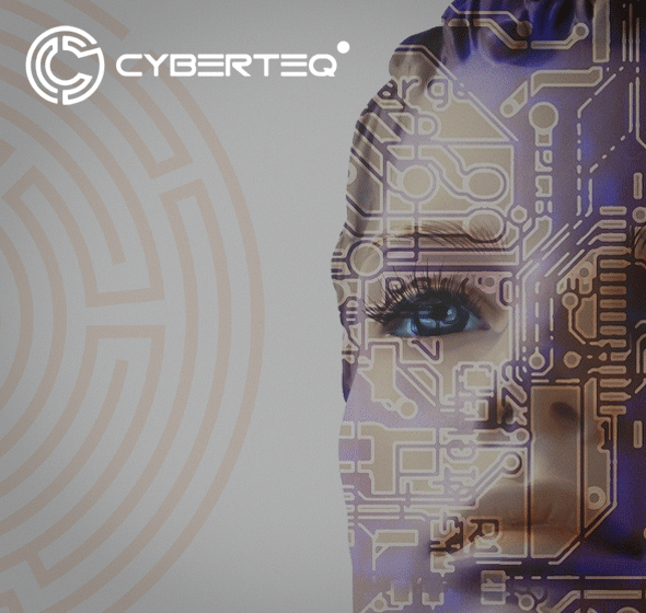 Cyberteq – data protection system. Digital marketing, lead generation on the Polish market